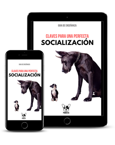Guía en PDF: Claves para una perfecta SOCIALIZACIÓN.